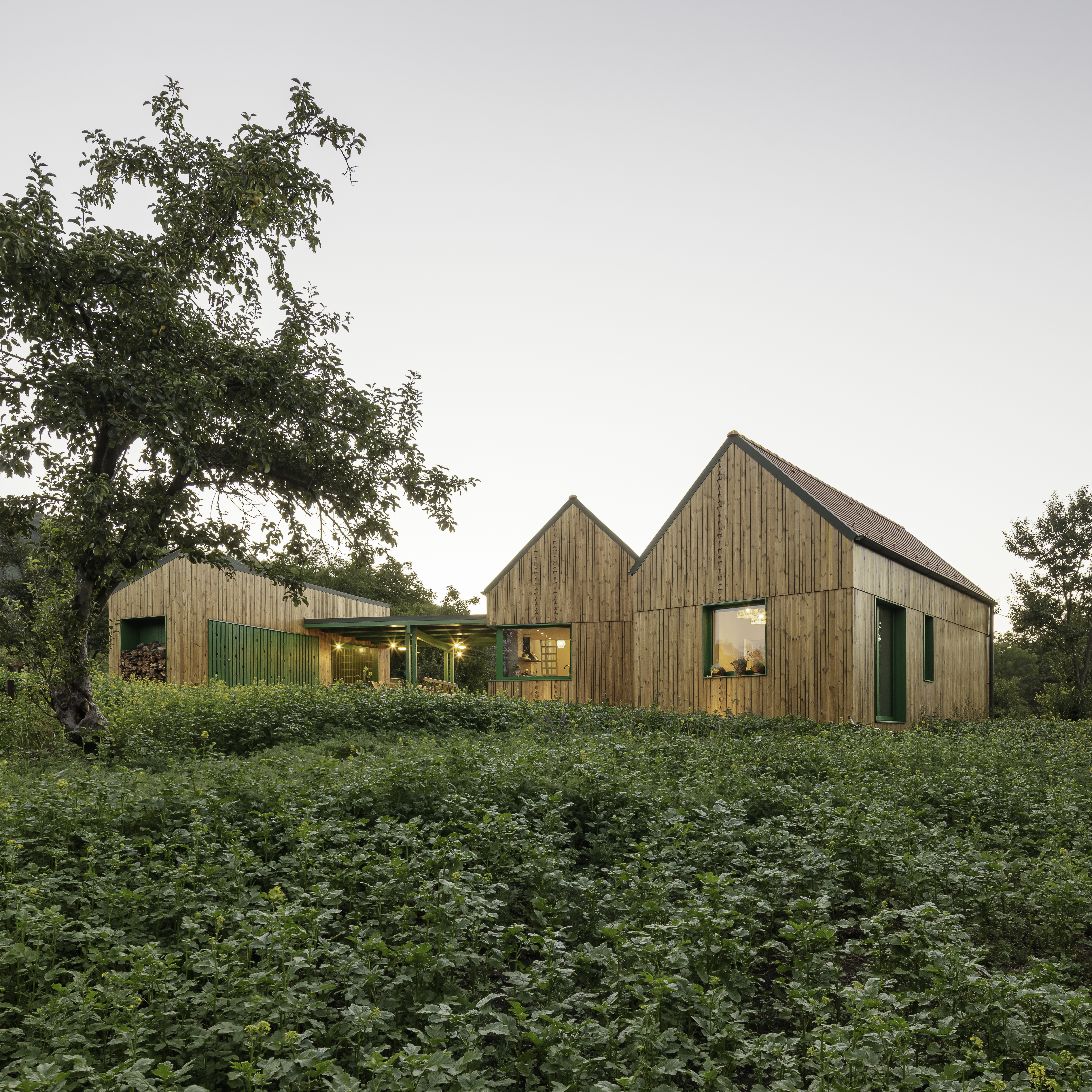 09 bako-hunor arhitectura-familiara-privita-altfel BATRA 2025   Hunor Bako