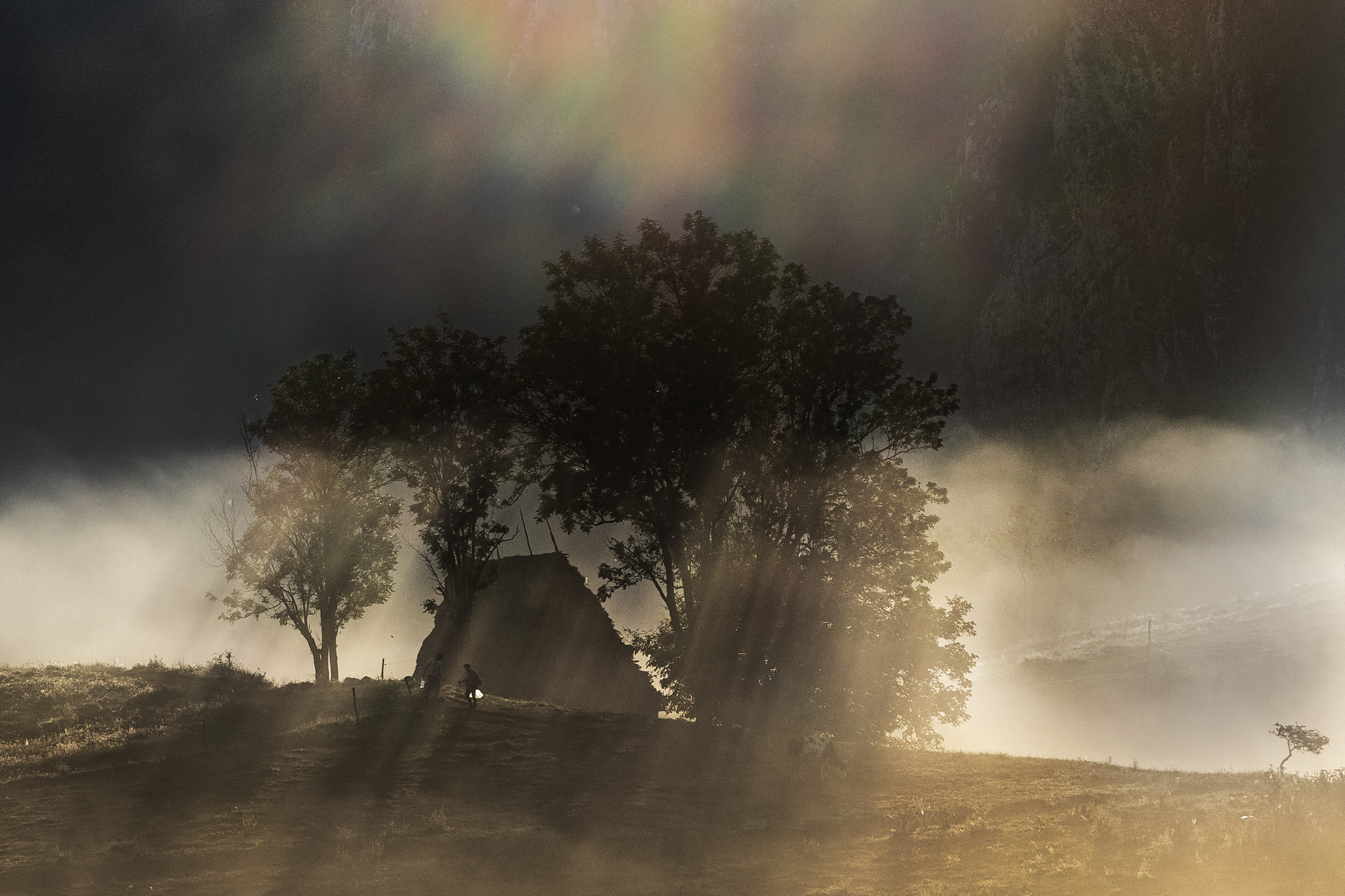 10c corina-tatar dumesti-parte-din-sufletul-nostru IMG