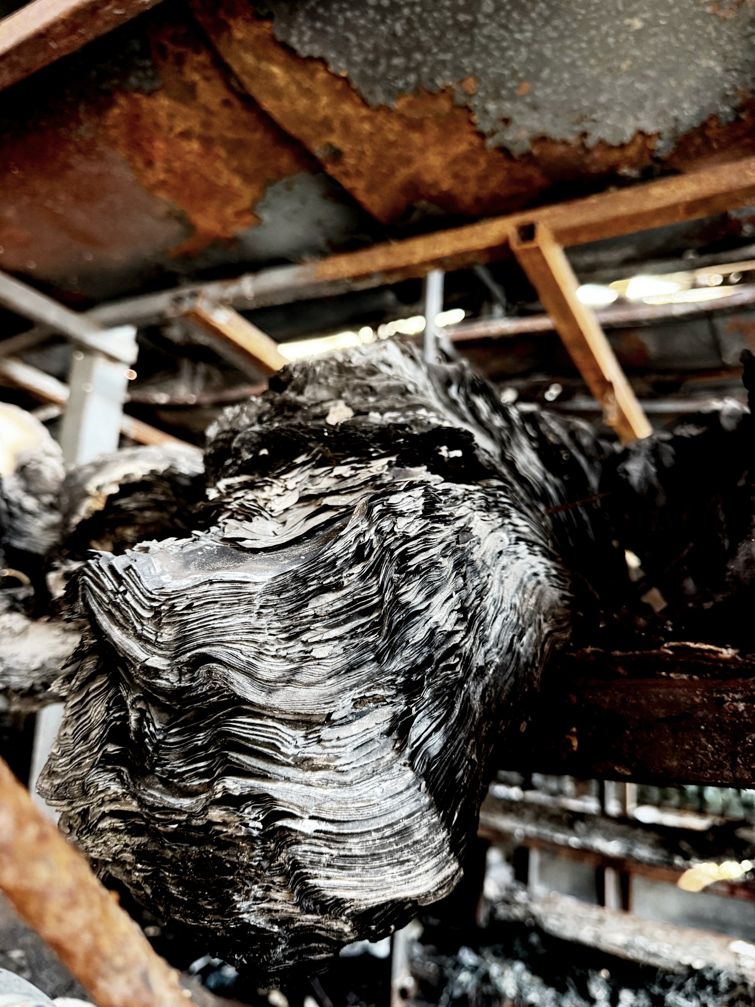 26d larissa-koncz fabrika-fire IMG