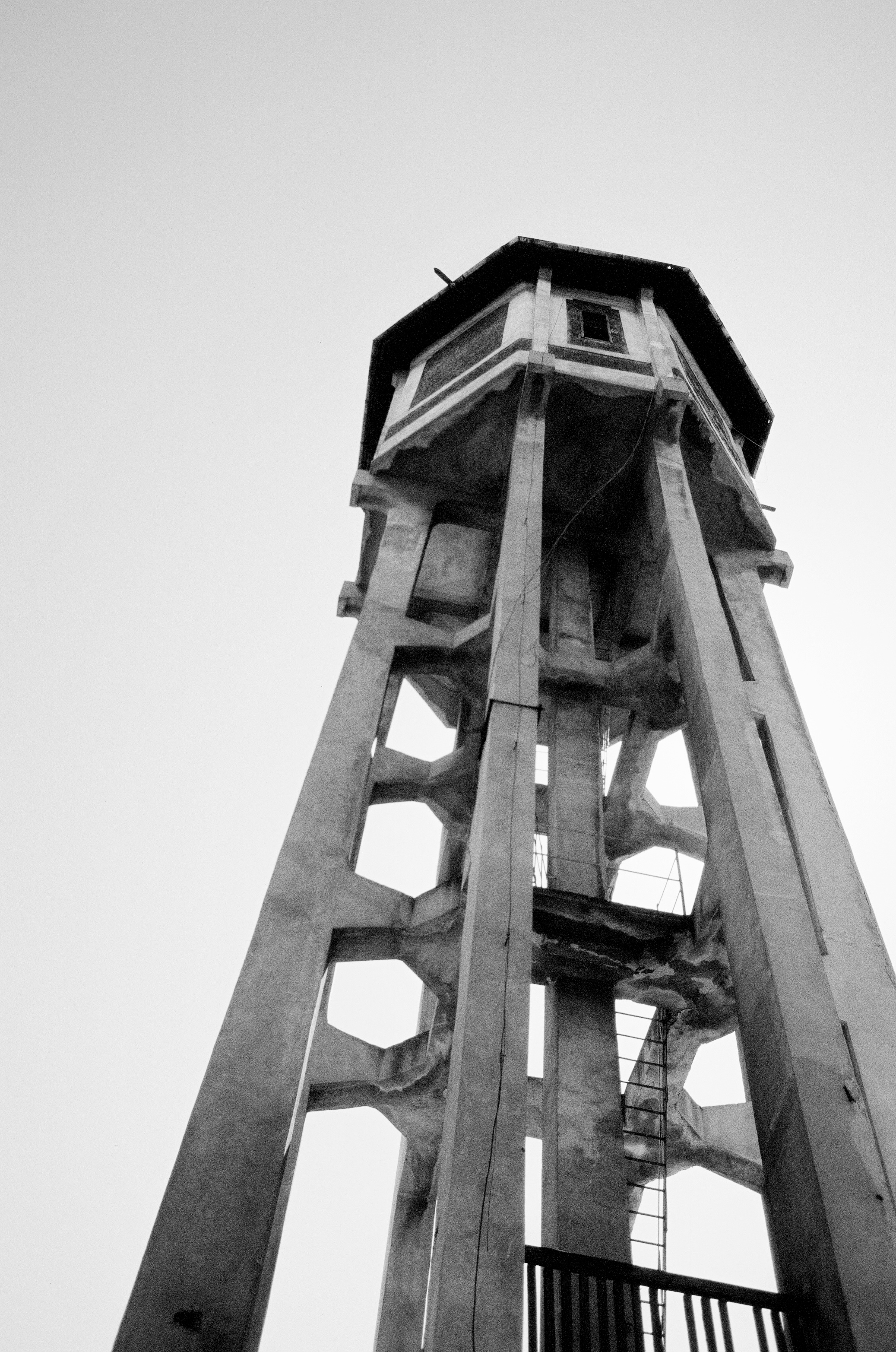 29a larissa-koncz fabrika