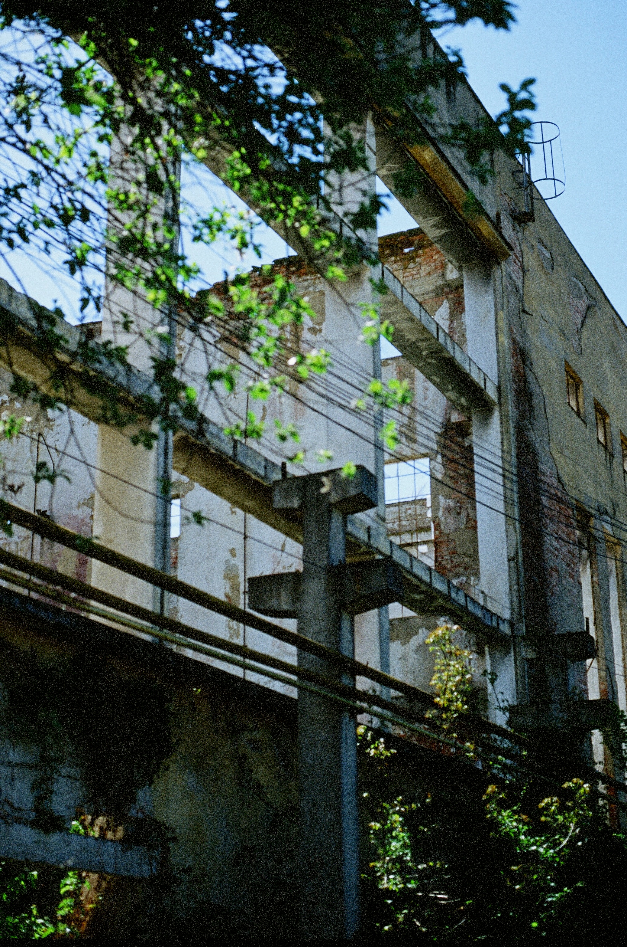 29d larissa-koncz fabrika