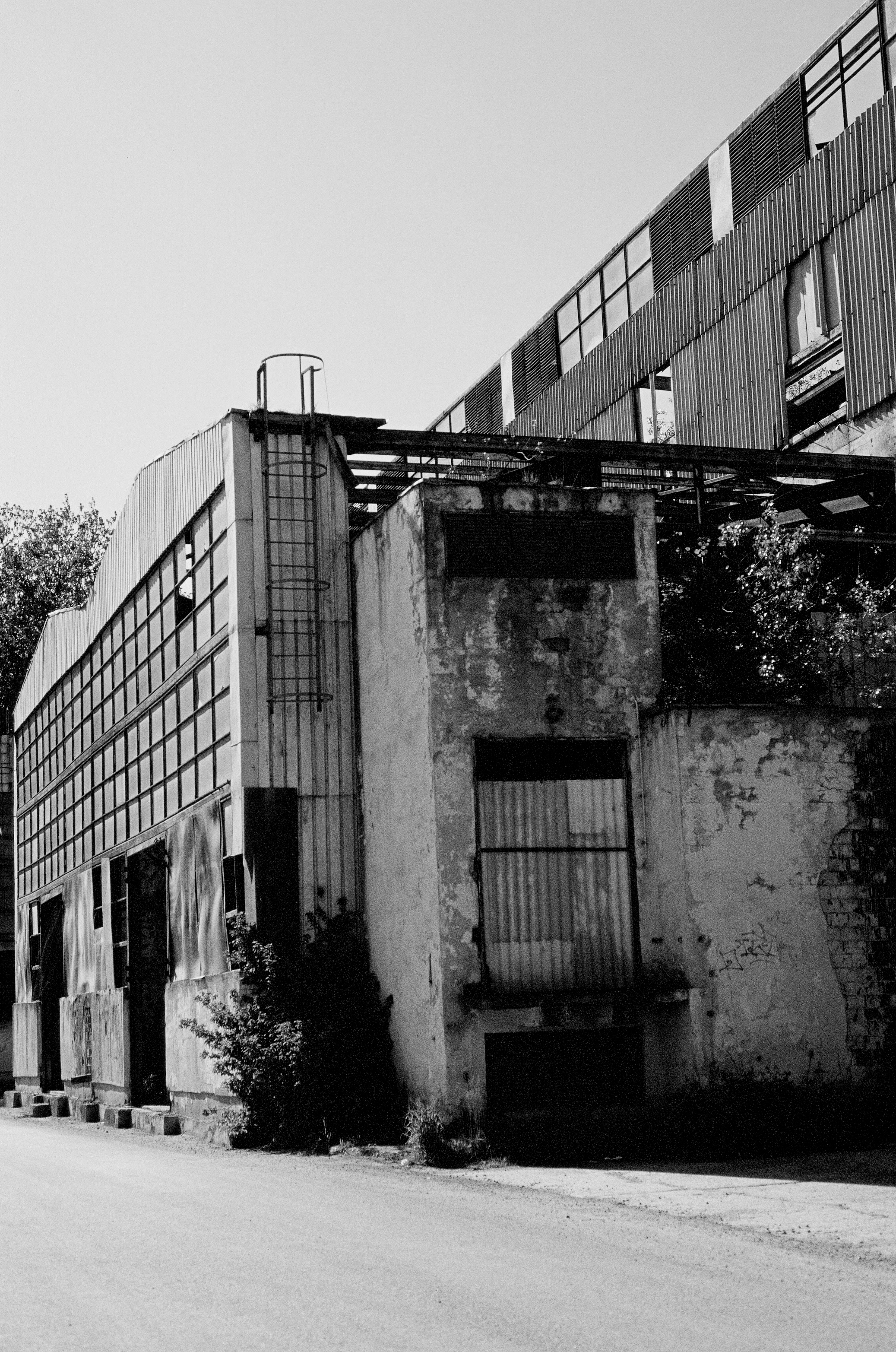 30c larissa-koncz fabrika