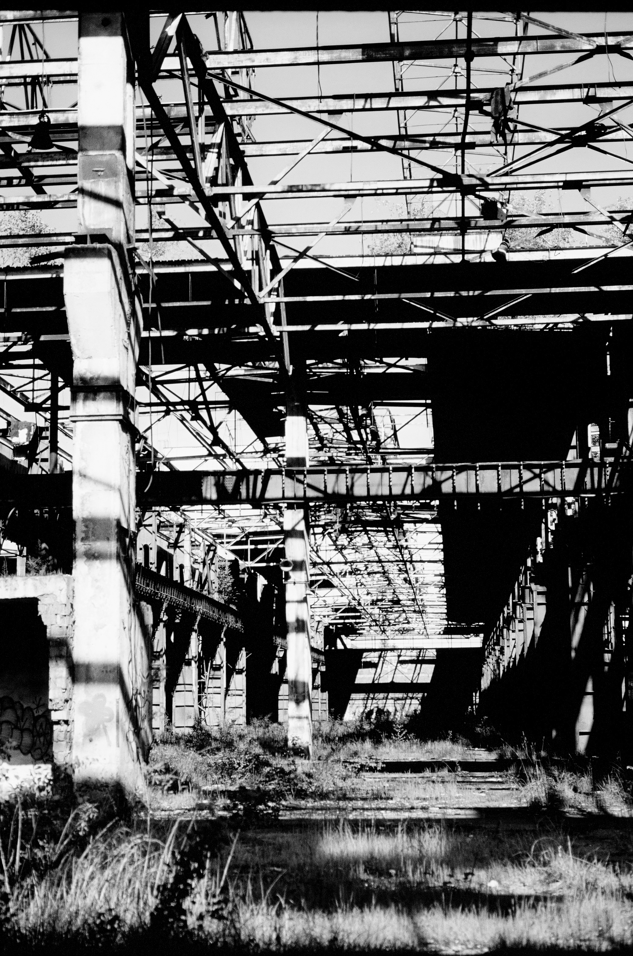 31d larissa-koncz fabrika