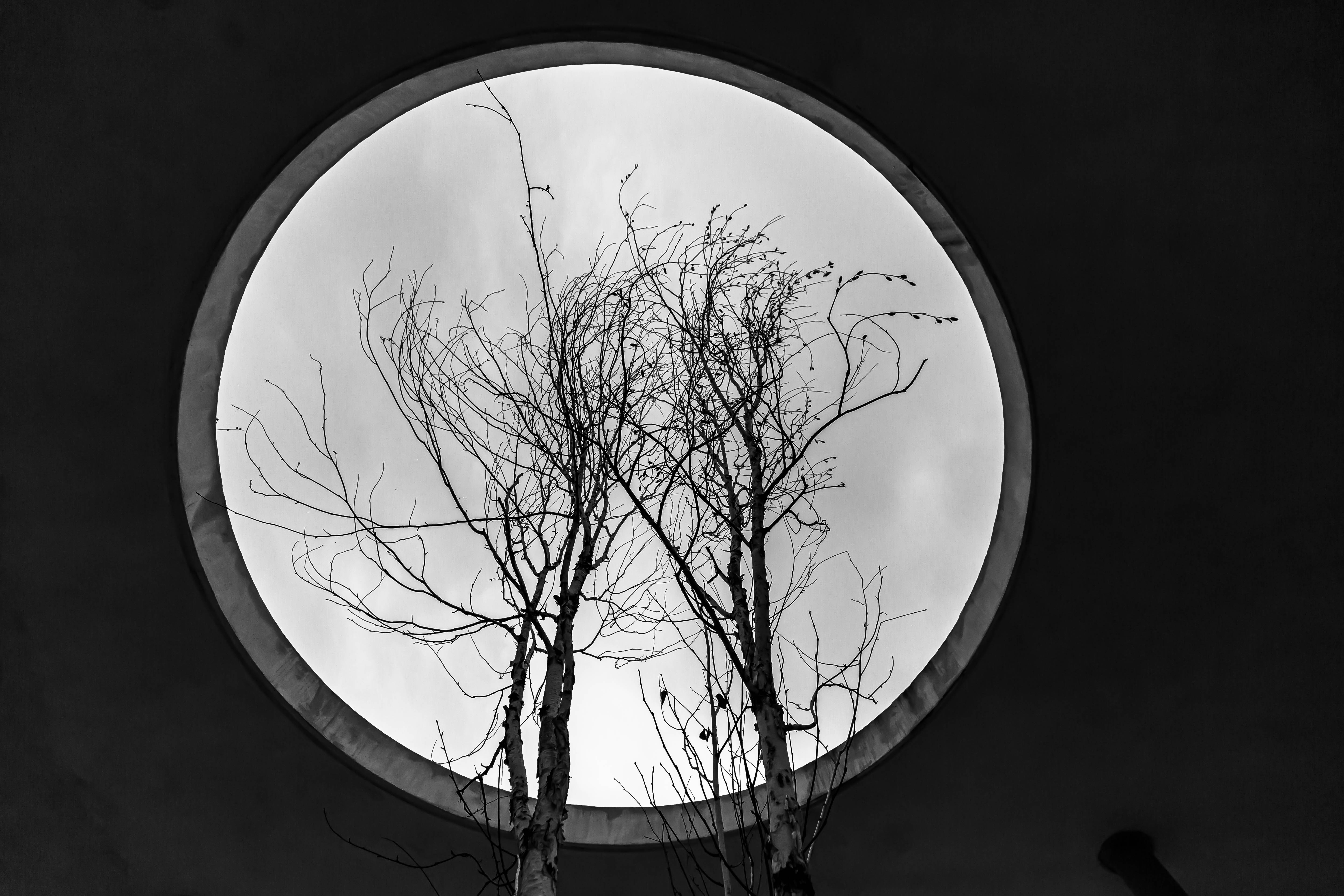 35 dora-trusca portalul dora trusca portal parculferoviarilor 2024