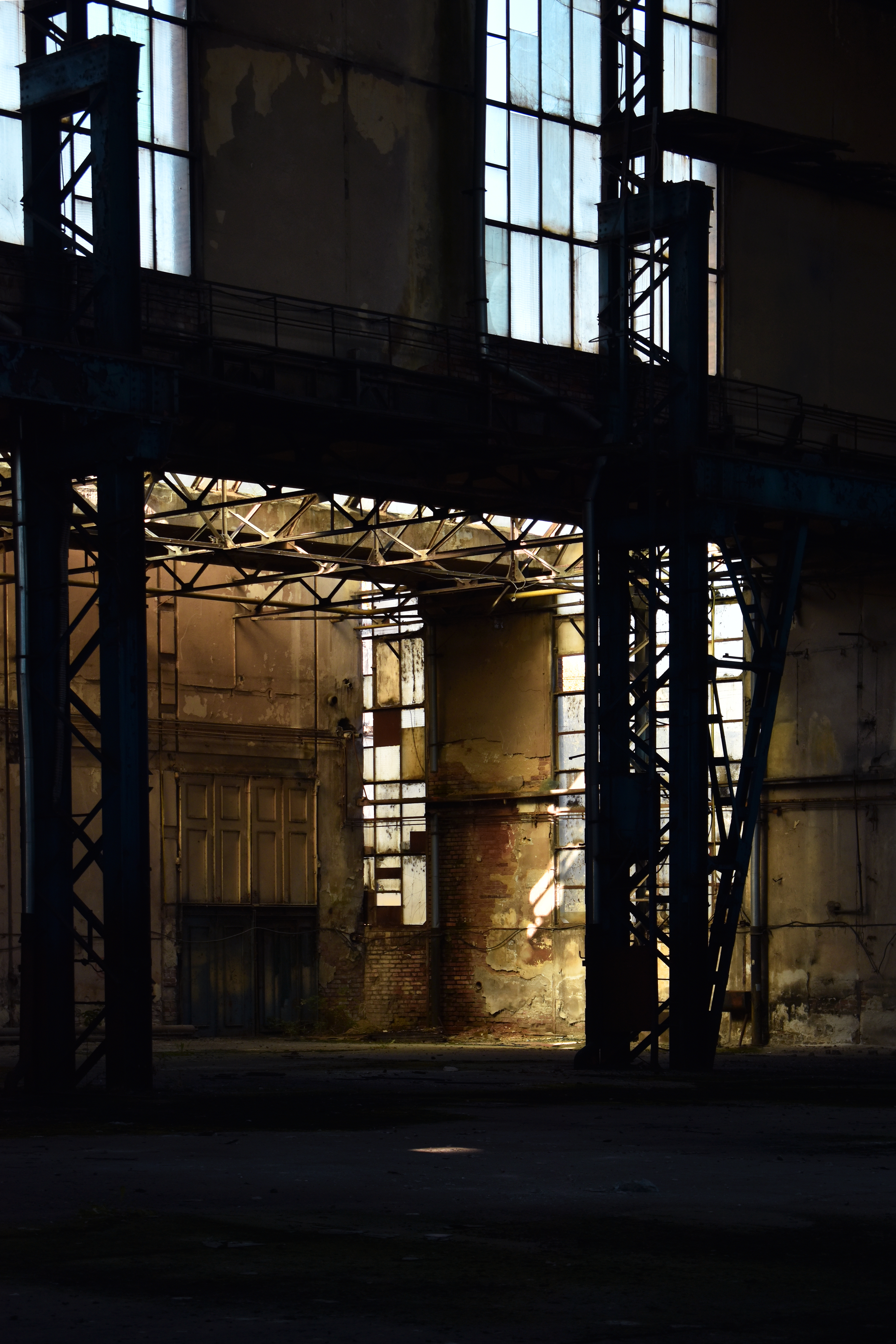 49c stefania-buciuman drafts