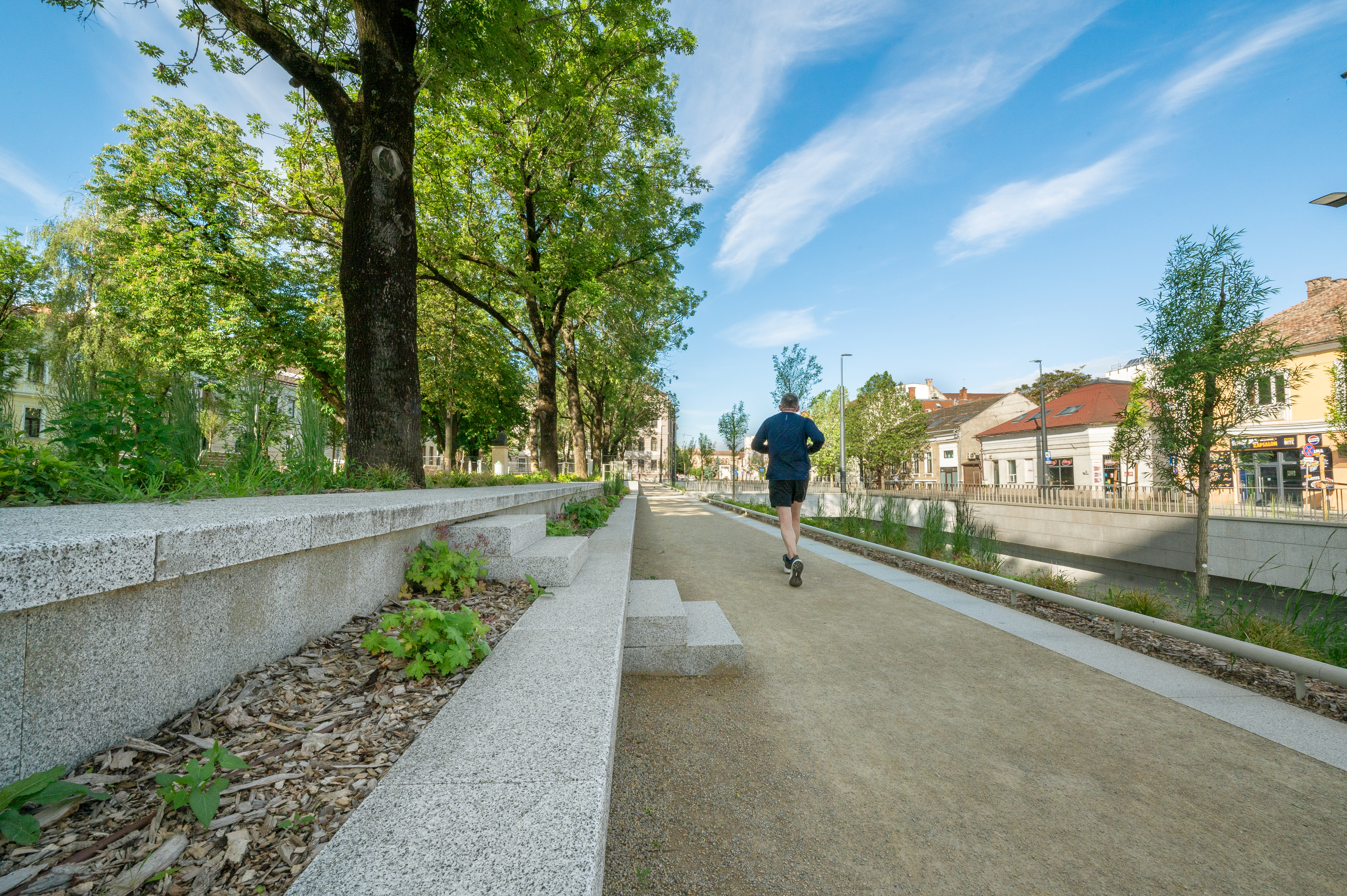 52c sumlea-marius canalul-morii-si-parcul-i-l-caragile-cluj-napoca Z61