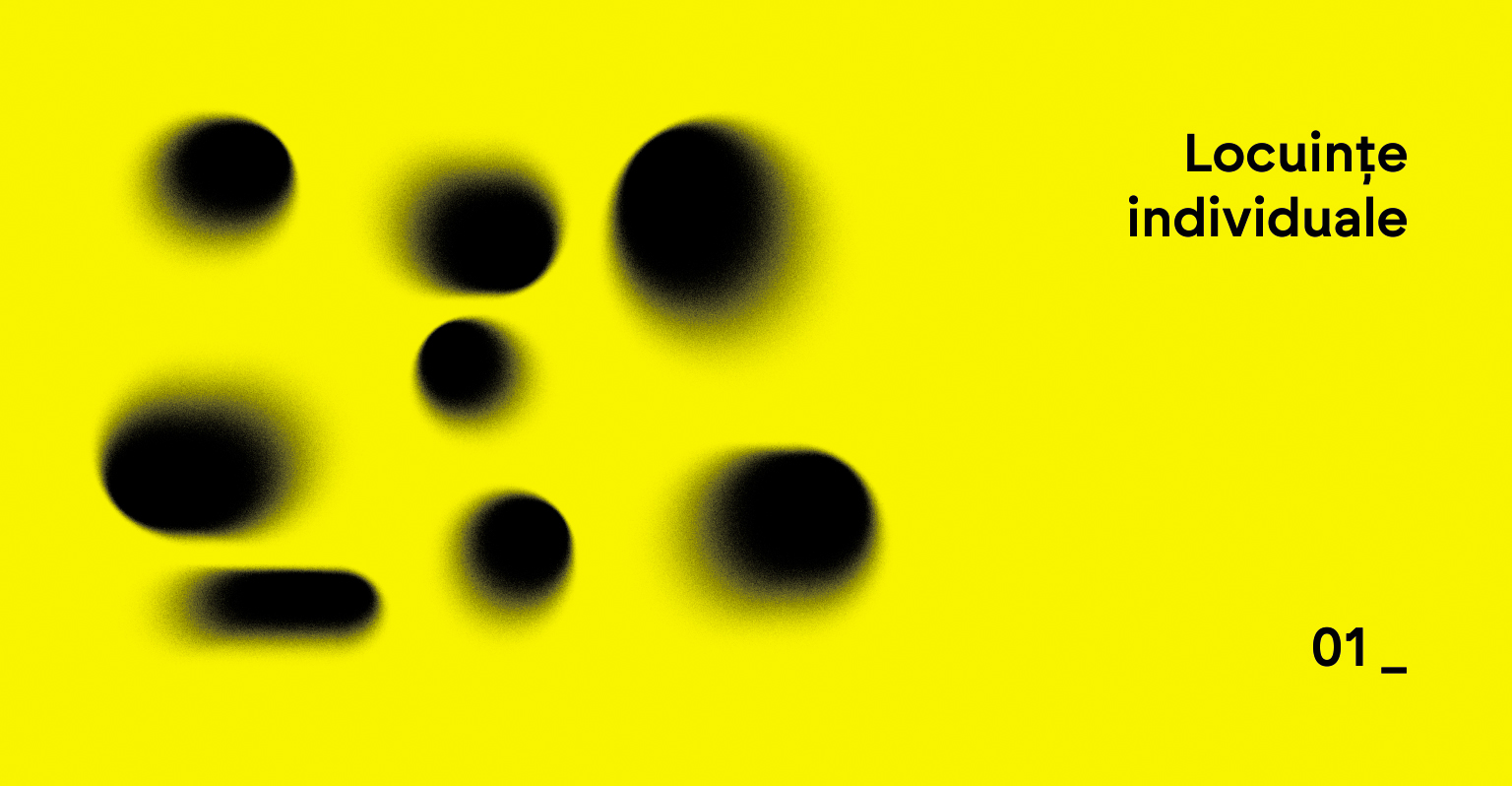 20 01  0 sectiunea 1