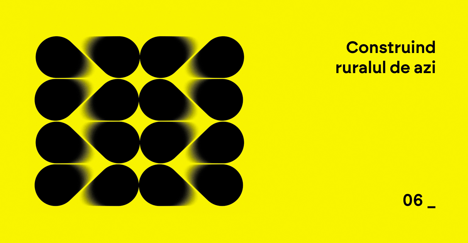 20 06  0 sectiunea 6