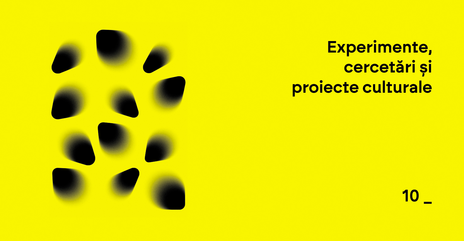 20 10  0 sectiunea 10